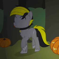 Size: 1000x1000 | Tagged: safe, artist:mrkm, derpibooru import, oc, oc:lightpeace, unofficial characters only, earth pony, pony, ^^, animated, bush, collar, commission, dancing, earth pony oc, eyes closed, forest, fruit, gif, halloween, happy, holiday, image, jack-o-lantern, male, mlem, night, open mouth, pumpkin, silly, solo, stallion, tongue out, tree, trotting, trotting in place, unshorn fetlocks