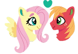 Size: 304x211 | Tagged: safe, artist:artinandwritin8, derpibooru import, big macintosh, fluttershy, earth pony, pegasus, pony, female, fluttermac, image, male, mare, png, shipping, simple background, stallion, straight, transparent background