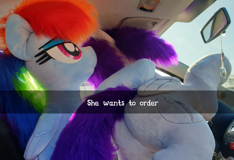 Size: 3321x2268 | Tagged: safe, artist:ponimalion, derpibooru import, rainbow dash, oc, oc:morning glory (project horizons), pegasus, pony, fallout equestria, fallout equestria: project horizons, bedroom eyes, branding, butt, butt focus, car, car interior, dashite, duo, fanfic art, female, he wants to order, image, interior, irl, jpeg, lidded eyes, life size, mare, meme, photo, plot, plushie, ponified meme, selfie, smiling, tail