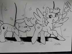 Size: 1024x769 | Tagged: safe, artist:taurson, derpibooru import, oc, oc:coffee, oc:hors, unofficial characters only, pegasus, pony, unicorn, autumn, duo, duo male and female, falling leaves, female, grayscale, grin, image, jpeg, leaves, male, mare, monochrome, smiling, spread wings, stallion, traditional art, wings