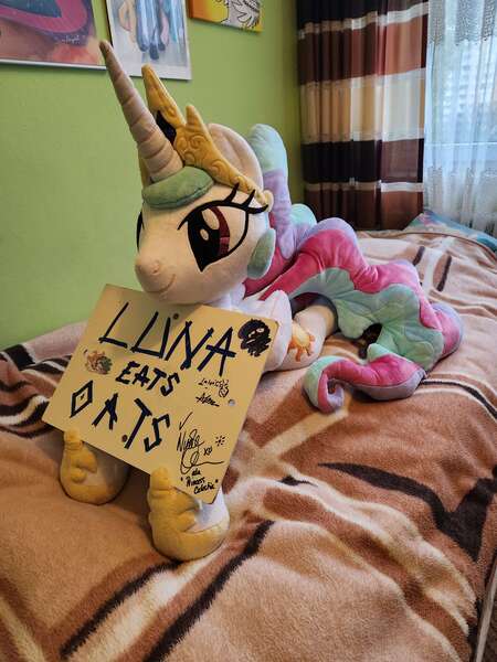 Size: 3000x4000 | Tagged: safe, artist:adamar44, derpibooru import, photographer:k.r.e.d.k.e, princess celestia, princess luna, alicorn, pony, crown, image, jewelry, jpeg, life size, luna eats oats, nicole oliver, photo, plushie, ponytail, regalia, sign, sticker