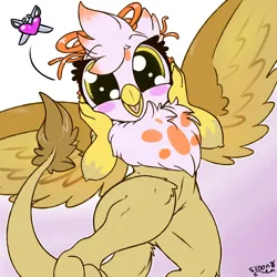 Size: 1500x1500 | Tagged: safe, artist:skoon, derpibooru import, oc, gryphon, beak, belly, big eyes, blushing, chest fluff, dilated pupils, eyelashes, feathered wings, female, female oc, griffon oc, hand on face, image, leonine tail, open mouth, png, solo, spread wings, tail, thighs, wings