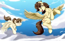 Size: 4150x2620 | Tagged: safe, artist:singovih, derpibooru import, oc, oc:motley cloud, unofficial characters only, pegasus, pony, cute, eye contact, fallout equestria: parallelism, female, flying, heterochromia, image, looking at each other, looking at someone, mare, png, siblings, sisters, sky, smiling, spread wings, wings