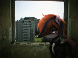 Size: 1280x960 | Tagged: safe, artist:menalia, derpibooru import, oc, unnamed oc, earth pony, pony, building, city, clothes, female, hair over one eye, image, indoors, irl, jacket, looking at you, mare, pants, photo, png, ponies in real life, shirt