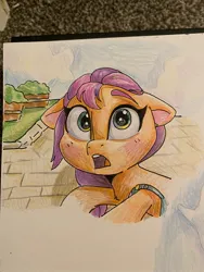 Size: 1536x2048 | Tagged: safe, artist:swirlmlp69768, derpibooru import, part of a set, sunny starscout, earth pony, pony, g5, blushing, cute, female, image, jpeg, mare, photo, sunnybetes, surprised face, traditional art, wingding eyes