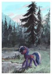Size: 1024x1463 | Tagged: safe, artist:satynapaper, derpibooru import, oc, oc:proudy hooves, unofficial characters only, earth pony, pony, 2015, commission, forest, gouache, green eyes, image, jpeg, lake, looking back, male, nature, passepartout, scenery, smiling, solo, stallion, traditional art, tree, water, ych result