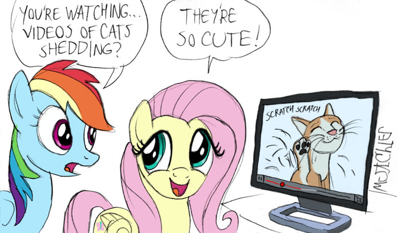 Size: 778x458 | Tagged: safe, artist:kturtle, derpibooru import, fluttershy, rainbow dash, cat, .mov, shed.mov, april fools, artifact, computer, image, jpeg, meta, shedding