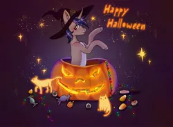 Size: 2274x1668 | Tagged: safe, artist:soudooku, derpibooru import, oc, bat pony, cat, pony, candies, commission, halloween, hat, holiday, image, jpeg, pumpkin, solo, witch, witch hat