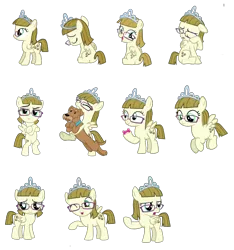 Size: 2552x2731 | Tagged: safe, derpibooru import, ripley, zippoorwhill, dog, pegasus, pony, female, filly, foal, glasses, image, jewelry, png, simple background, tiara, transparent background, vector