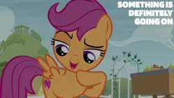 Size: 2000x1125 | Tagged: safe, derpibooru import, edit, edited screencap, editor:quoterific, screencap, scootaloo, hard to say anything, image, png, solo