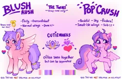 Size: 1401x911 | Tagged: safe, artist:sekuponi, derpibooru import, oc, oc:blush rush, oc:pop crush, unofficial characters only, pegasus, pony, braid, chest fluff, ear fluff, female, image, jpeg, mare, ponytail, pride flag, reference sheet, unshorn fetlocks, wing fluff, wings