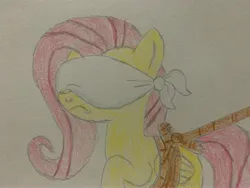 Size: 4032x3024 | Tagged: safe, derpibooru import, fluttershy, covering eyes, damsel in distress, image, jpeg, kidnapped, tied up