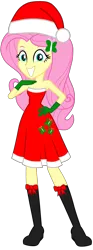 Size: 1121x3005 | Tagged: safe, artist:fireluigi29, derpibooru import, human, equestria girls, christmas, clothes, dress, female, g4, gloves, hat, holiday, image, png, santa hat, shoes, simple background, socks, solo, transparent background