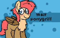 Size: 1280x819 | Tagged: safe, artist:pzkratzer, derpibooru import, oc, oc:ponygriff, unofficial characters only, gradient background, image, jpeg, ponygriff, solo, ya got