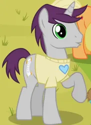 Size: 370x507 | Tagged: safe, derpibooru import, screencap, written script, pony, unicorn, season 2, the mysterious mare do well, cheering, clothes, cropped, g4, image, male, offscreen character, png, rainbow dash fanclub, raised hoof, shirt, solo focus, stallion, standing