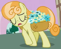 Size: 483x389 | Tagged: safe, derpibooru import, screencap, junebug, earth pony, pony, season 2, secret of my excess, animation error, basket, cropped, eyes closed, female, flower, frown, g4, image, mare, open mouth, png, ponyville, solo, turning