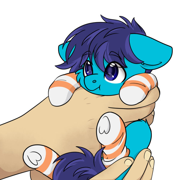 Size: 2197x2223 | Tagged: safe, artist:rokosmith26, derpibooru import, oc, oc:open air, unofficial characters only, human, pegasus, pony, cheek fluff, commission, cute, ear fluff, floppy ears, hand, holding, holding a pony, image, in goliath's palm, light skin, looking up, male, png, simple background, size difference, smol, solo, stallion, tail, tiny, tiny ponies, transparent background, ych result