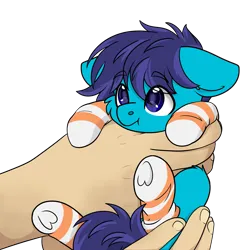 Size: 2197x2223 | Tagged: safe, artist:rokosmith26, derpibooru import, oc, oc:open air, unofficial characters only, human, pegasus, pony, cheek fluff, commission, cute, ear fluff, floppy ears, hand, holding, holding a pony, image, in goliath's palm, light skin, looking up, male, png, simple background, size difference, smol, solo, stallion, tail, tiny, tiny ponies, transparent background, ych result