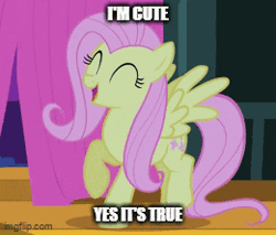 Size: 260x221 | Tagged: safe, derpibooru import, edit, fluttershy, filli vanilli, animaniacs, caption, cute, gif, image, image macro, imgflip, impact font, shyabetes, song reference, text