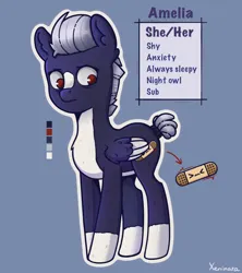 Size: 1524x1720 | Tagged: safe, artist:xeninara, derpibooru import, oc, oc:amelia (xeninara), unofficial characters only, pegasus, pony, female, female oc, image, mare, mare oc, pegasus oc, png, pronouns, reference sheet, simple background, solo, standing, wings