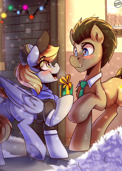 Size: 1500x2100 | Tagged: safe, artist:shadowreindeer, derpibooru import, derpy hooves, doctor whooves, time turner, earth pony, pegasus, pony, blushing, christmas, clothes, eye clipping through hair, female, holiday, image, jpeg, looking at each other, looking at someone, male, mare, present, raised hoof, scarf, ship:doctorderpy, shipping, smiling, smiling at each other, snow, stallion, straight