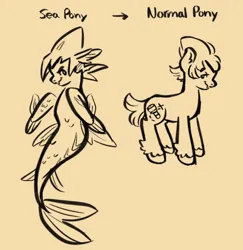 Size: 1280x1318 | Tagged: safe, artist:i-ate-a-purse, derpibooru import, ponified, earth pony, pony, seapony (g4), cookie run, crossover, crown, dorsal fin, fin, fin wings, fins, fish tail, floppy ears, flowing mane, flowing tail, image, jewelry, jpeg, male, monochrome, ocean, regalia, scales, simple background, sorbet shark cookie, swimming, sword, tail, text, water, weapon, wings