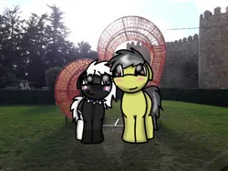 Size: 749x562 | Tagged: safe, artist:foxfer64_yt, derpibooru import, oc, oc:onyxstar (fl), oc:thunder (fl), pegasus, pony, couple, cute, duo, floppy ears, grass, grass field, heart, image, jpeg, looking at each other, looking at someone, love, park, shipping, smiling, spain, tree