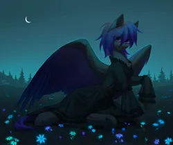 Size: 2050x1714 | Tagged: safe, artist:inarimayer, artist:miurimau, derpibooru import, oc, unofficial characters only, pegasus, pony, clothes, image, jpeg, moon, night, pegasus oc, solo, stars, wings