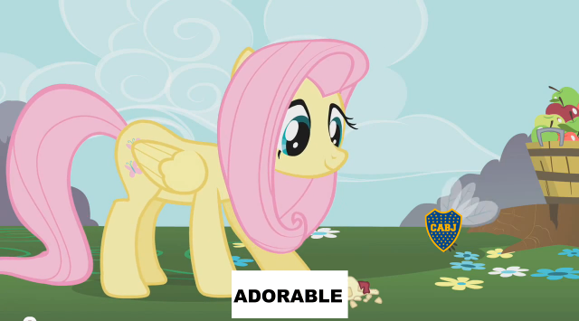 Size: 640x355 | Tagged: safe, derpibooru import, editor:jojodidu, fluttershy, parasprite, pegasus, pony, apple, argentina, boca juniors, emblem, female, food, football, g4, image, mare, meme, png, spanish text, sports, text