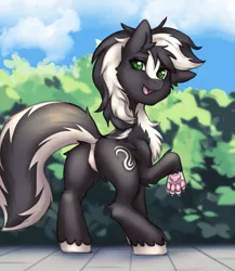 Size: 1237x1425 | Tagged: safe, artist:eltaile, derpibooru import, oc, oc:zenawa skunkpony, earth pony, hybrid, pony, skunk, skunk pony, bush, butt, chest fluff, claws, countershading, earth pony oc, featureless crotch, hybrid oc, image, looking at you, looking back, looking back at you, male, open mouth, outdoors, paw pads, paws, png, raised tail, smiling, smiling at you, solo, solo male, stallion, tail, unshorn fetlocks