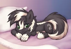 Size: 1425x979 | Tagged: safe, artist:eltaile, derpibooru import, oc, oc:zenawa skunkpony, unofficial characters only, earth pony, hybrid, pony, skunk, skunk pony, bed, bedroom, bedroom eyes, blanket, claws, cute, earth pony oc, hybrid oc, image, laying on bed, lidded eyes, looking at you, lying down, male, on bed, paws, pillow, png, prone, relaxed, smiling, smiling at you, snuggles?, solo, stallion, tail, unshorn fetlocks