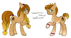 Size: 4000x2155 | Tagged: safe, artist:wtfponytime, derpibooru import, oc, oc:samantha sunflower, oc:samuel sunflower, unofficial characters only, earth pony, pony, beige, body freckles, body markings, braid, braided tail, chest fluff, ear fluff, female, floppy ears, freckles, full body, genderfluid, glasses, gradient legs, gradient mane, green eyes, hairband, hoofband, image, looking at you, male, mare, markings, png, raised hoof, reference sheet, round glasses, rule 63, side view, speckled, spotted, stallion, sunflower seed, tail, unshorn fetlocks
