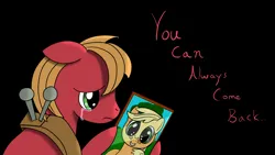 Size: 3840x2160 | Tagged: safe, artist:darelith, derpibooru import, applejack, big macintosh, earth pony, pony, black background, dialogue, female, grin, high res, holding, image, male, mare, picture frame, png, simple background, smiling, stallion, teary eyes