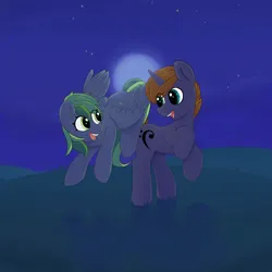 Size: 3000x3000 | Tagged: safe, artist:knochka, derpibooru import, oc, oc:crusader, oc:forest rain, unofficial characters only, pegasus, pony, unicorn, butt bump, duo, eye clipping through hair, flying, grass, grass field, high res, image, looking at each other, looking at someone, male, moon, night, open mouth, open smile, png, rearing, smiling, stallion, teeth
