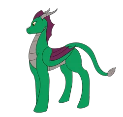Size: 1054x1000 | Tagged: safe, artist:silverfan, derpibooru import, dragon, pony, female, image, mare, png, solo