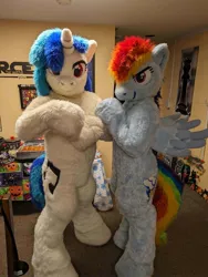 Size: 1201x1599 | Tagged: safe, artist:spainfischer, derpibooru import, rainbow dash, vinyl scratch, anthro, human, pegasus, pony, unicorn, 2023, fursuit, g4, halloween, holiday, image, irl, irl human, jpeg, photo, ponysuit