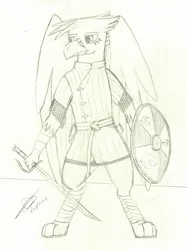 Size: 2212x2965 | Tagged: safe, artist:darthalex70, derpibooru import, oc, oc:duskclaw, unofficial characters only, gryphon, armor, chainmail, fantasy, griffon oc, image, jpeg, male, shield, sketch, solo, standing, sword, traditional art, weapon