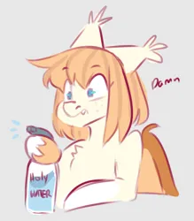 Size: 680x776 | Tagged: safe, artist:cheekipone, ponerpics import, oc, oc:honey milk, unofficial characters only, bat pony, pony, damn, ear tufts, female, holy water, image, mare, png, sketch, spray bottle, unshorn fetlocks, worried