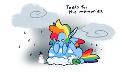 Size: 1280x800 | Tagged: safe, artist:goatpaste, derpibooru import, rainbow dash, tank, pegasus, pony, tortoise, season 5, tanks for the memories, blanket, duo, duo male and female, female, g4, hibernation, image, male, mare, png, sad, simple background, snow, snowman, teary eyes, white background