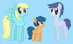 Size: 1228x750 | Tagged: safe, artist:katiesworldofponies36, ponerpics import, first base, klein, sassaflash, earth pony, pegasus, pony, series:my little filly: friendship is magic, adorabase, adult blank flank, background pony, blank flank, blue background, cute, cyan background, daughter, diakleines, family, father, father and child, father and daughter, female, filly, foal, g4, headcanon, image, male, mare, mother, mother and child, mother and daughter, mother and father, ms paint, pegasus first base, png, race swap, sassabetes, simple background, smiling, stallion