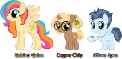 Size: 1000x487 | Tagged: safe, derpibooru import, oc, oc:copper chip, oc:golden gates, oc:silver span, earth pony, pegasus, pony, unicorn, babscon mascots, convention, convention art, g4, image, mascot, png, show accurate, simple background, trio, vector