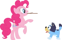 Size: 3573x2297 | Tagged: safe, artist:porygon2z, derpibooru import, pinkie pie, dog, earth pony, pony, australian cattle dog, bluey, bluey heeler, crossover, cute, diapinkes, duo, duo female, female, fetch, g4, image, mare, png, simple background, stick, tongue out, transparent background