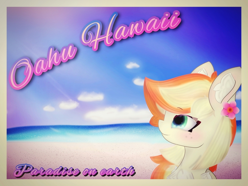 Size: 2160x1620 | Tagged: safe, artist:sodapop sprays, derpibooru import, oc, oc:sodapop sprays, pegasus, pony, beach, chest fluff, ear fluff, flower, flower in hair, freckles, hawaii, image, jpeg, ocean, postcard, solo, water