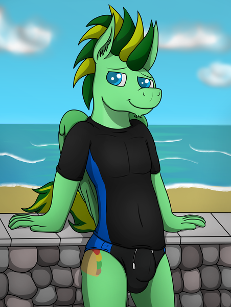 Size: 2288x3040 | Tagged: suggestive, artist:tacomytaco, derpibooru import, oc, oc:taco.m.tacoson, unofficial characters only, anthro, pegasus, beach, black shirt, black swimsuit, clothes, crotch bulge, image, looking at you, male, png, shirt, smiling, solo, solo male, speedo, swimsuit