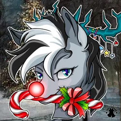 Size: 3000x3000 | Tagged: safe, artist:dzhu.sokolov, derpibooru import, oc, oc:fallen ember(sally stuart), deer, candy, candy cane, christmas, food, holiday, image, png, rudolph the red nosed reindeer, solo