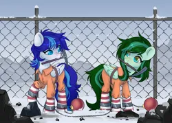 Size: 2048x1463 | Tagged: safe, artist:shelti, derpibooru import, oc, oc:eden shallowleaf, oc:snowflake flower, pegasus, ball and chain, belt, clothes, commissioner:rainbowdash69, cuffed, cuffs, fence, image, jpeg, never doubt rainbowdash69's involvement, ornament, pegasus oc, prison outfit, shackles, snow, wings, winter