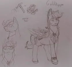 Size: 1103x1028 | Tagged: safe, artist:sugar lollipop, derpibooru import, oc, oc:golddigger, unofficial characters only, pegasus, image, jpeg, male, paper, pegasus oc, pencil drawing, reference sheet, sketch, sketch dump, traditional art, wings