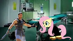 Size: 1280x720 | Tagged: safe, derpibooru import, screencap, fluttershy, pegasus, pony, female, g4, gladiator, image, male, mare, plastic surgery, png, solo