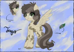 Size: 1063x752 | Tagged: safe, derpibooru import, oc, oc:tayer, pegasus, pony, art trade, image, jpeg, mixed media, reference sheet, solo