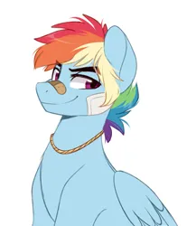 Size: 747x903 | Tagged: safe, artist:higgly-chan, derpibooru import, rainbow dash, pegasus, pony, bandage, bandaid, bandaid on nose, bust, image, jewelry, looking at you, male, necklace, png, portrait, rainbow blitz, rule 63, scar, simple background, smiling, solo, solo male, stallion, white background